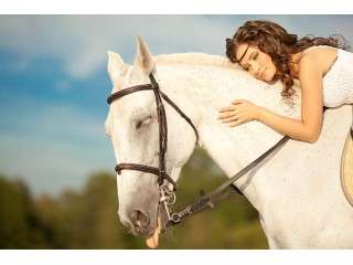 Horse riding lesson in Sibiu