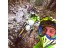 Enduro experience in Bucharest
