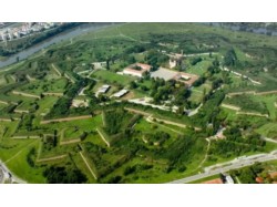 Survol de placere cu avionul in Arad