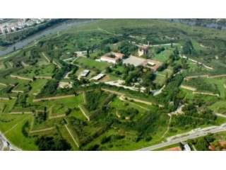 Scenic flight in Arad