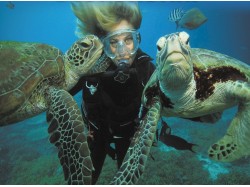 Initiere in scubadiving in Timisoara pentru 2