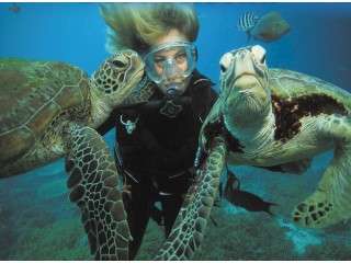 lectii de scafandru idei de cadou pentru cupluri Timisoara