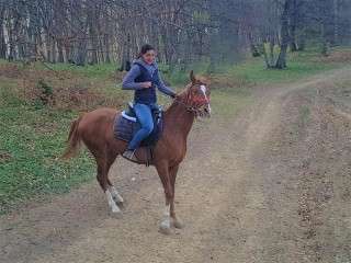 Initiere in Calarie in Brasov