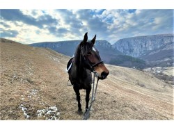 Initiere in calarie pentru 2 la Turda