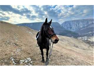 Initiere in Calarie in Turda