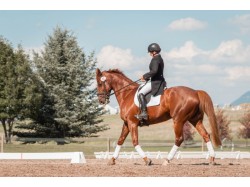 Initiere in calarie in Cluj