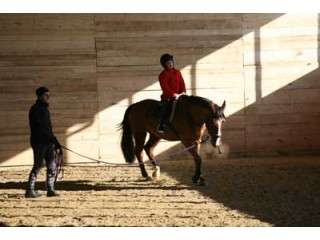 Initiere in Calarie in Bacau