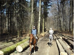 Initiere in calarie in Bacau pentru 2