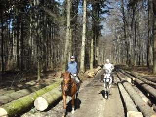 Initiere in Calarie in Bacau