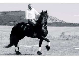 Initiere in Calarie in Oradea