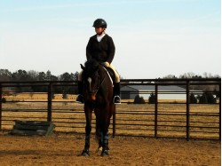 Initiere in calarie in Iasi pentru 2