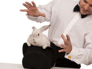 Lunch with magic show in Bucharest