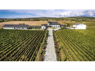 Short Break la Conacul din Ceptura cu degustare de vin