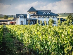 City Break cu familia la Conacul din Ceptura cu degustare de vin