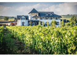 City Break cu familia la Conacul din Ceptura cu degustare de vin