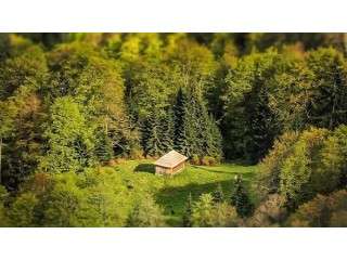 Plimbare cu avionul in Muntii Rodnei