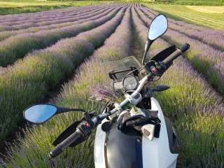 Plimbare in Transylvania with a BMW F650 