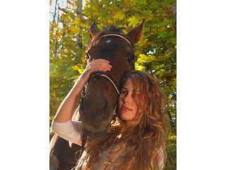 Initiation in horse riding in Bucharest