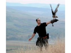 Initiere in manuirea pasarilor de prada in Sibiu