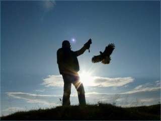 Handling birds of prey lesson in Sibiu