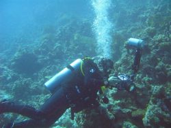 Initiere in scubadiving in Baia Mare pentru 2