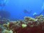 Scuba diving – Introductory course for 2 in Baia Mare