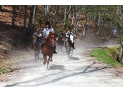 Initiere in calarie la Sibiu pentru 2