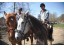 Horse riding lesson for 2 in Sibiu
