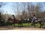 Horse riding lesson for 2 in Sibiu