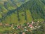 Helicopter tour to Bran and Peles Castles from Brasov 6seats